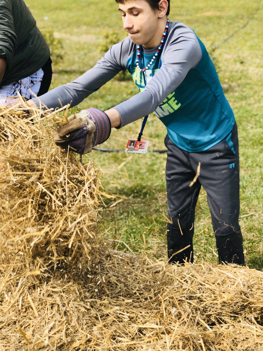 CampusEdible's tweet photo. My Grateful Gardeners (TW Andrews High) began the process of employing the Ruth Stout system of permanent hay mulching today. 🤞@knittedpiecrust @RevSaviourFavor @NCStateSustain @QuesadaLabNCSU @NCExtension @NCStateCNR @GCSchoolsNC @scontrerasGCS https://t.co/ebZm2Dh5Cm