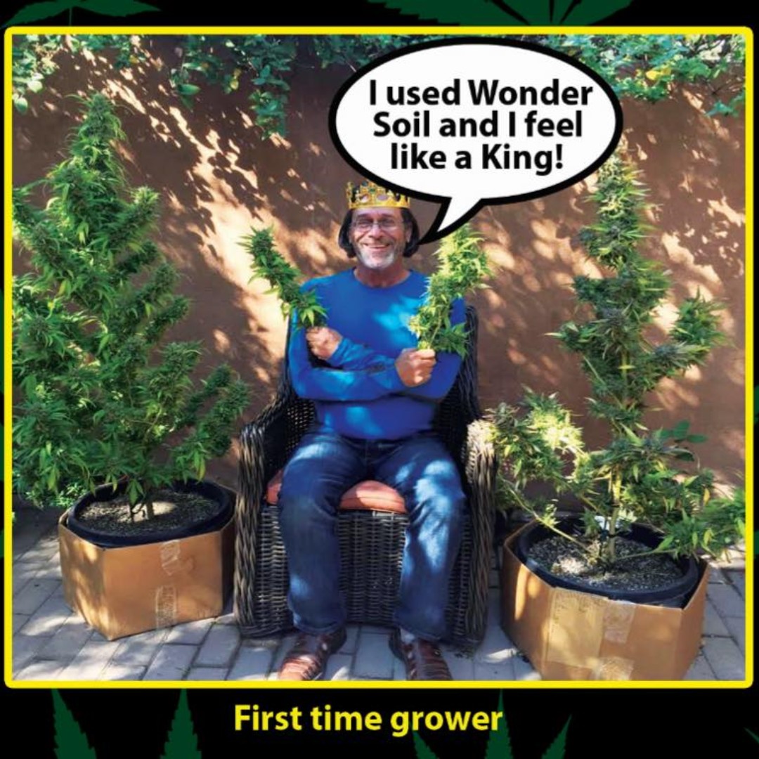 Use Wonder Soil for LARGER plants with HIGHER yields! 🌱

#wondersoil #cococoir #growingmarijuana #growingcannabis #growingweed  #cannabiscommunity #cannabis  #marijuanagrowers #cannabisgrower  #420life #cannagrowers   #indoorgrow #homegrownweed #weedstagram420