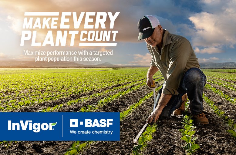 BASFAgSolutions's tweet photo. #InVigorRATE has clear advantages. It’s simple, helps with planning, the packaging is clear, and most important, it helps optimize yield. Read more about these advantages: https://t.co/cSIvxg8HBa #WestCdnAg https://t.co/f7jlbZDWt4