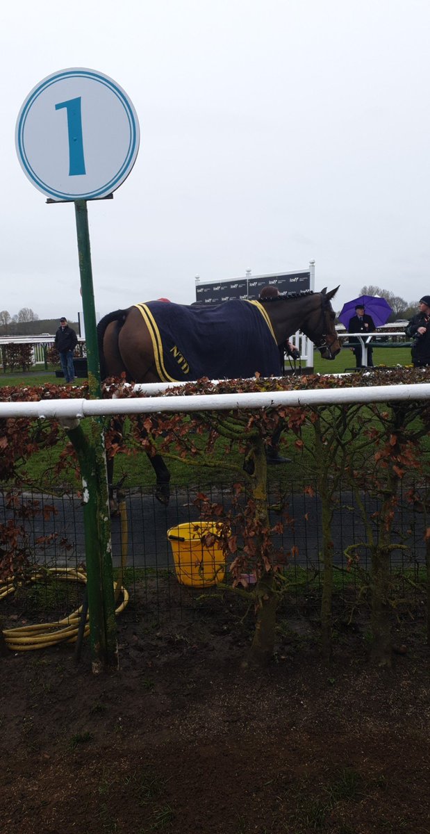 JodieeePage's tweet photo. Great Day Today @stratfordraces 🐎🐴 https://t.co/1jcD78be0G