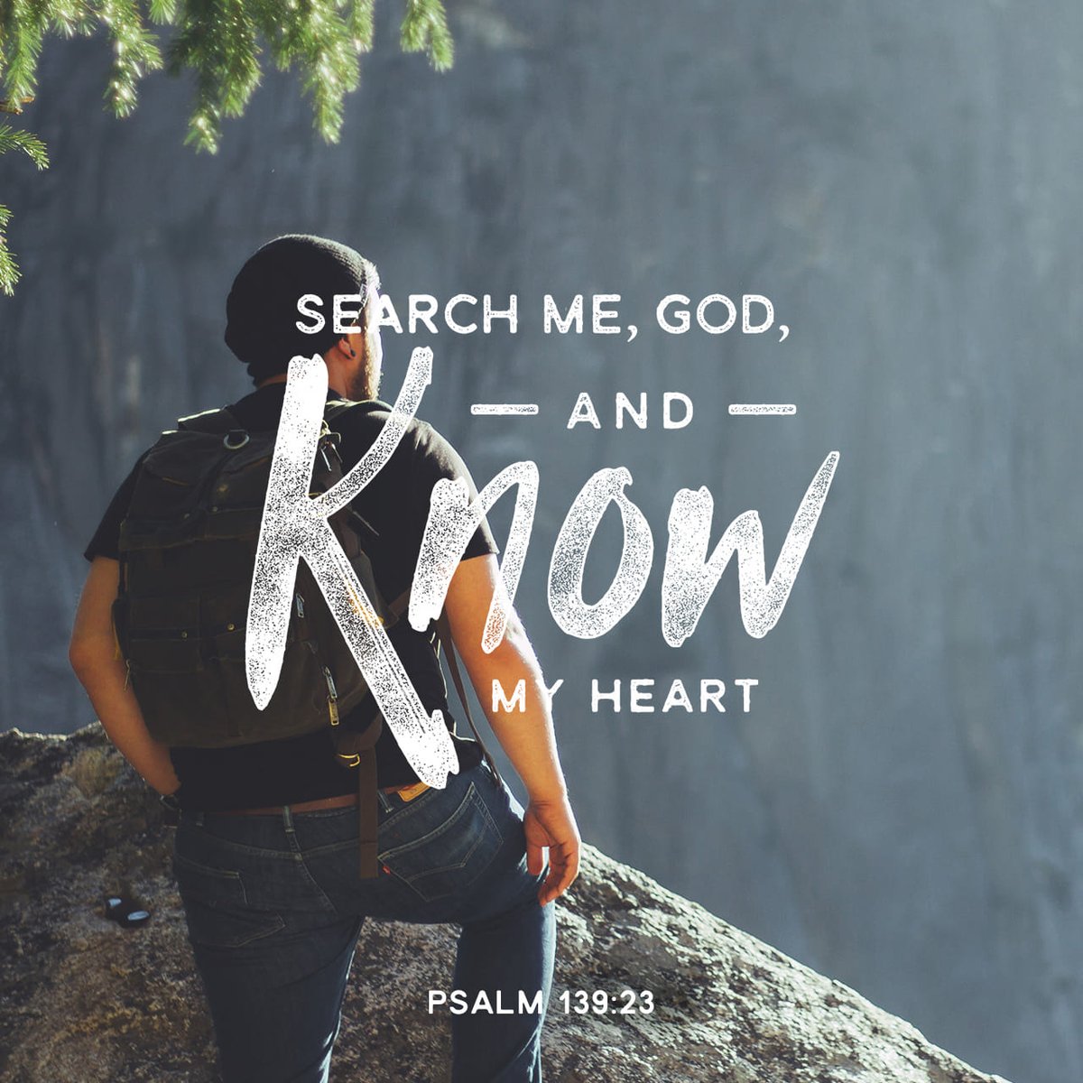 ClemDogg77's tweet photo. I know that my heart is troubled, I know that my heart isn't always showing the light, I know that my heart doesn't always follow the LORD. 
I ask Him to point these out to me so that I can get back on track and walk with Him My Saviour
#godislove #inhimitrust #heismystrength https://t.co/VCTUEwqMKb