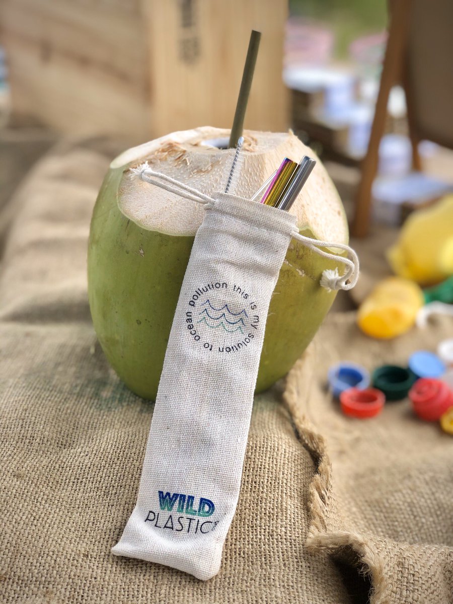 wildplasticorg's tweet photo. Did you know sea birds are actually more effected by #plastic #straws than turtles? Let’s help em out! Available only at our Marketplace! #plasticfreeocean #skipthestraw #ocean #zerowaste #oneless #ecofriendly #pollution #eco #environment #recycle #wildplasticorg #wildplastic https://t.co/km7ZmV8eFO