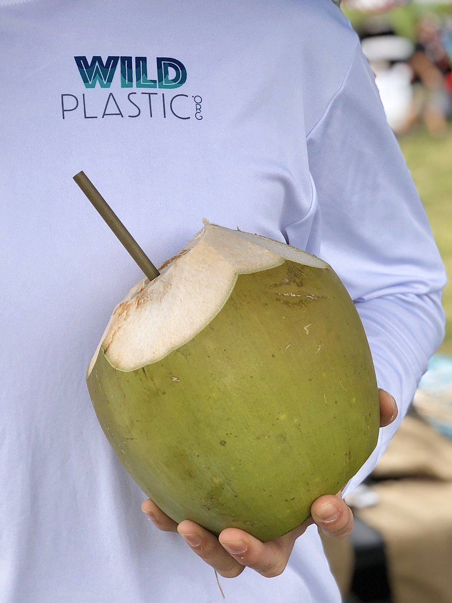 wildplasticorg's tweet photo. Did you know sea birds are actually more effected by #plastic #straws than turtles? Let’s help em out! Available only at our Marketplace! #plasticfreeocean #skipthestraw #ocean #zerowaste #oneless #ecofriendly #pollution #eco #environment #recycle #wildplasticorg #wildplastic https://t.co/km7ZmV8eFO
