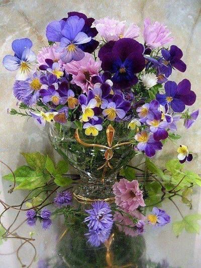 pennycoho's tweet photo. Spring is on it's way. Plant your garden.

"To plant a garden is to believe in tomorrow." ~ Audrey Hepburn https://t.co/A8mzMOeRAa