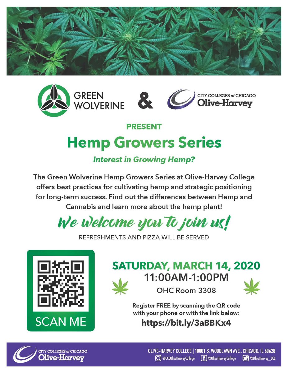 MsLewisPR's tweet image. CHICAGO: Learn about the differences in #Hemp &amp;amp; #Cannabis How to Grow Hemp!!! bit.ly/3aBBKx4