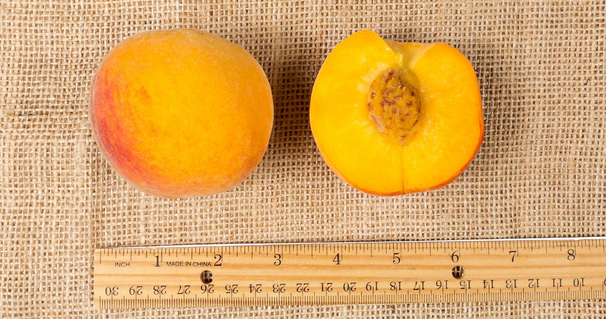 UCDavisPlants tweet media