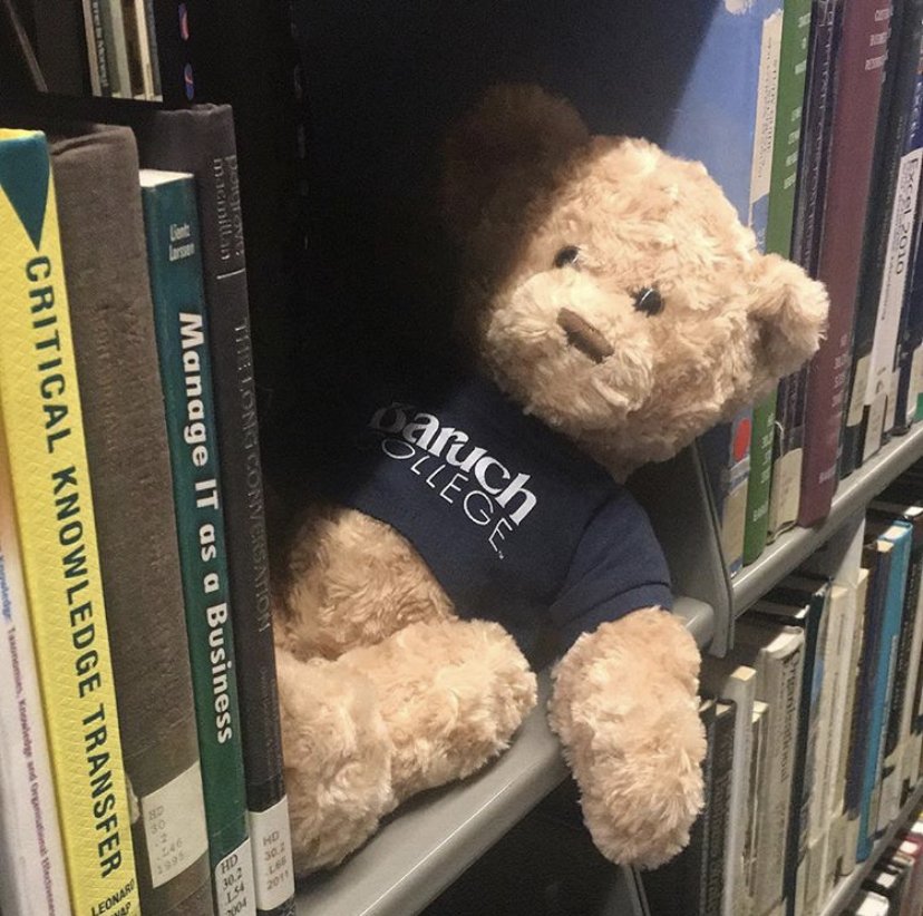 BaruchAdmission's tweet image. Teddy wishes you all the best with your midterms!
#MidtermSeason #beBaruch #Library #BearcatPride #BaruchAdmissions