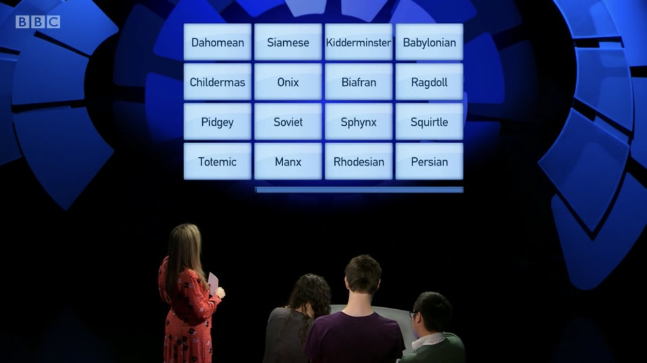 Pokemon Database on X: Who likes quiz shows? In this game (Only