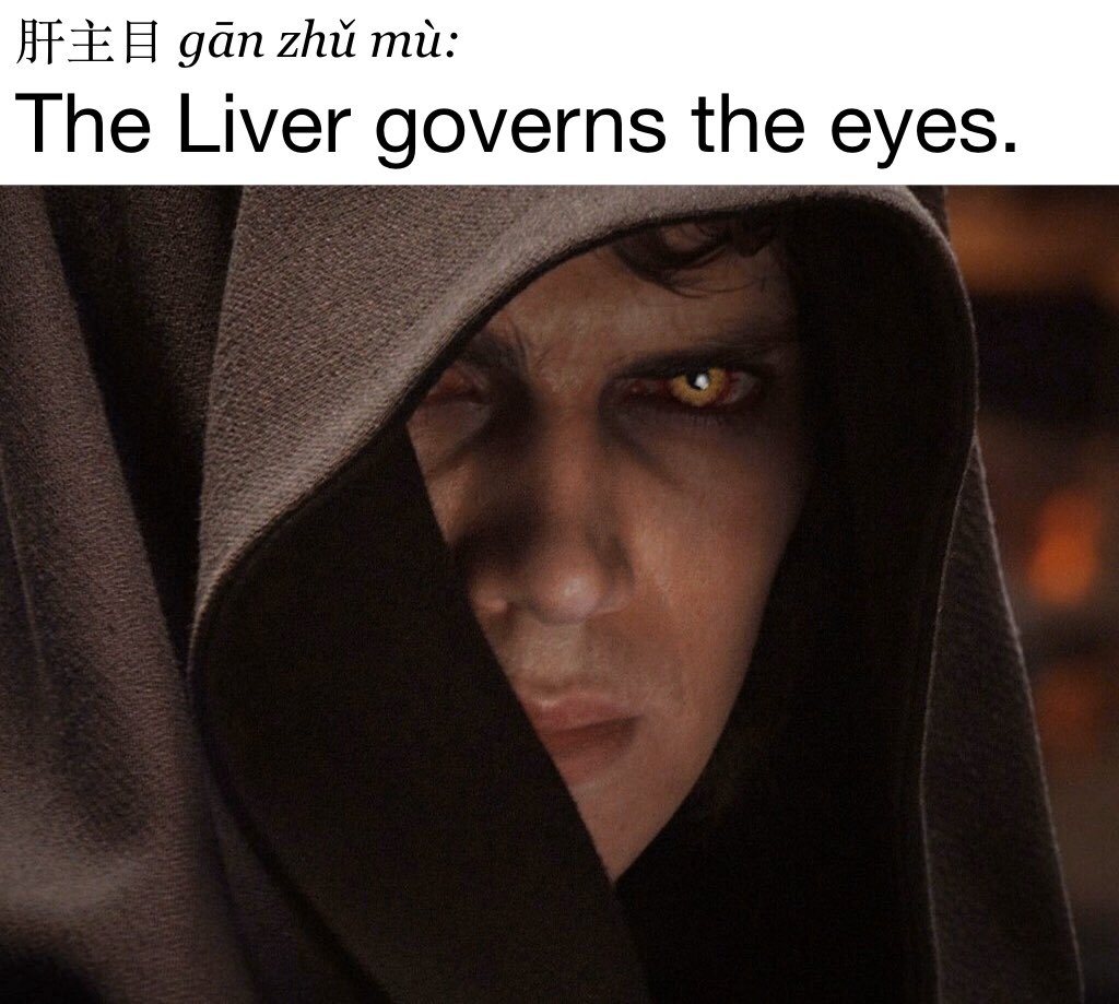 “Liver Qi flows through to the eyes; when the Liver is in harmony, the eyes can distinguish the five colors.” 

Liver fire flaming upward can manifest as red swollen eyes, whereas Liver vacuity can give rise to dry eyes and unclear vision. ￼
#acupuncture