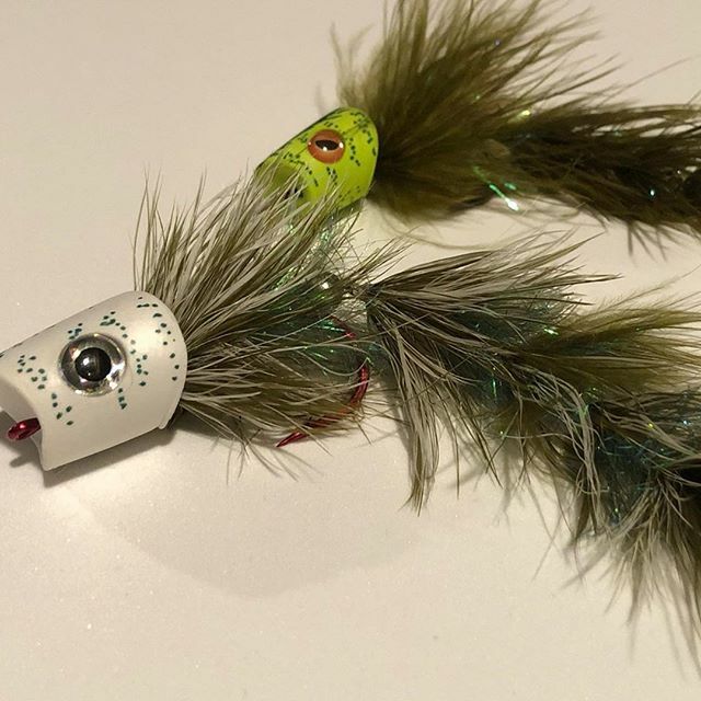 FlymenFishingCo's tweet photo. Feather Game Changer using some #SurfaceSeducer Howitzer Popper Heads, 3/0 and 2/0. 📷: @flyfish.11
.
.
.
#flytying #tyingflies #flugbindning #fluebinding #montajedemoscas #flymenfishingco #streamerjunkie #streamerfishing #articulationnation #gamechan… https://t.co/cChhr1GkDu https://t.co/3GZxgU9DhL