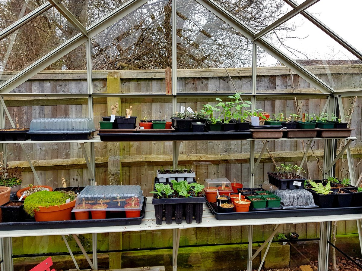 @GardensHour #seedlings, #bulbs, #plantsupports and even some #sunshine this week. #GardensHour