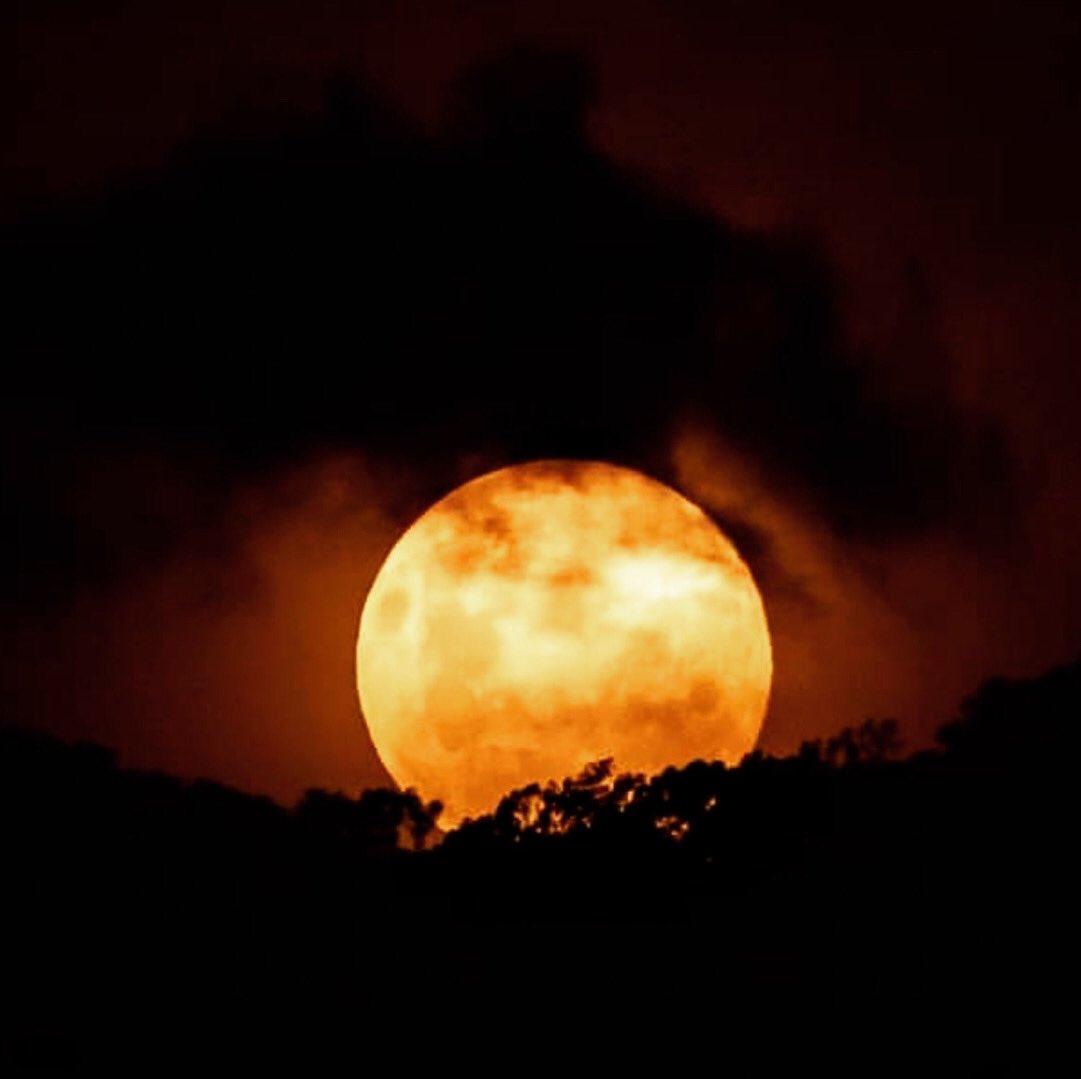 Medaumaideia1's tweet photo. Que tal jogar a preguiça de segunda de lado e ir ao ar livre contemplar a Super Lua? Vale tomar um coco em qualquer quiosque da praia ou até mesmo um drink em um rooftop da cidade (confere mais dicas de onde ver a Super Lua nos nossos Fleets). #superlua #superlua2020 https://t.co/mYVbmtg507