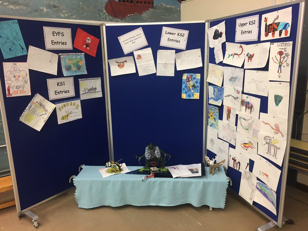 HarlestonCE's tweet photo. Miss Ingram has kick-started #scienceweek by displaying some of the incredible entries to our science competition! It’s going to be a tricky one to judge... #futuristicanimals #competition #harlestoncommunity #scienceisfun https://t.co/dghOBdiQwL