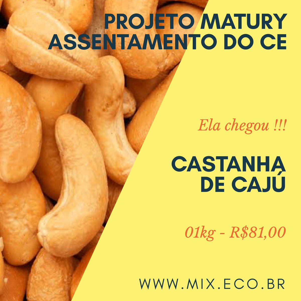 semealuz's tweet image. Castanha de Cajú Orgânica 

Torrada Salgada ou Caramelizada 
Castanhas 100% orgânicas

1kg - R$81,00

Plantios livres de pesticidas e agrotóxicos, localizados no município de Icapuí CE, em um processo de parcerias que fomenta a auto estima no campo.