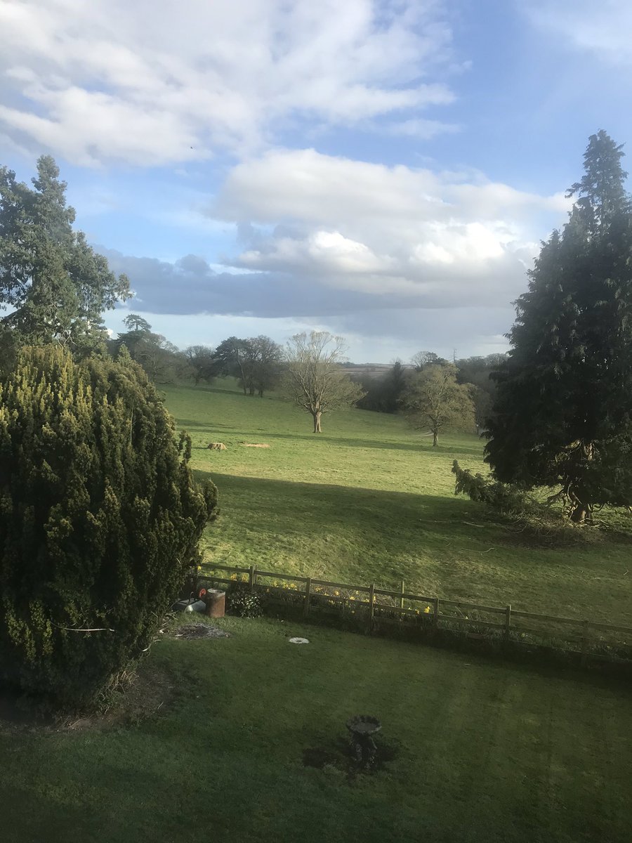 adrianbourne3's tweet photo. Come back spring !!! https://t.co/BxnR52mIQc