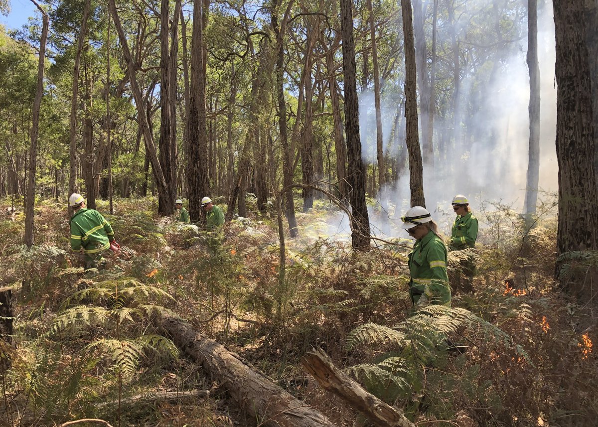 FFMVic's tweet photo. Our crews will be carrying out #PlannedBurning of 250 hectares in #Gorae from today. People in the surrounding areas may see smoke until Friday. More info at: https://t.co/ag3nlsm9EM #FFMVic https://t.co/ysjEnglLR8