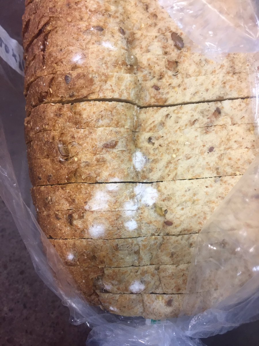 my work experience, a visual thread: