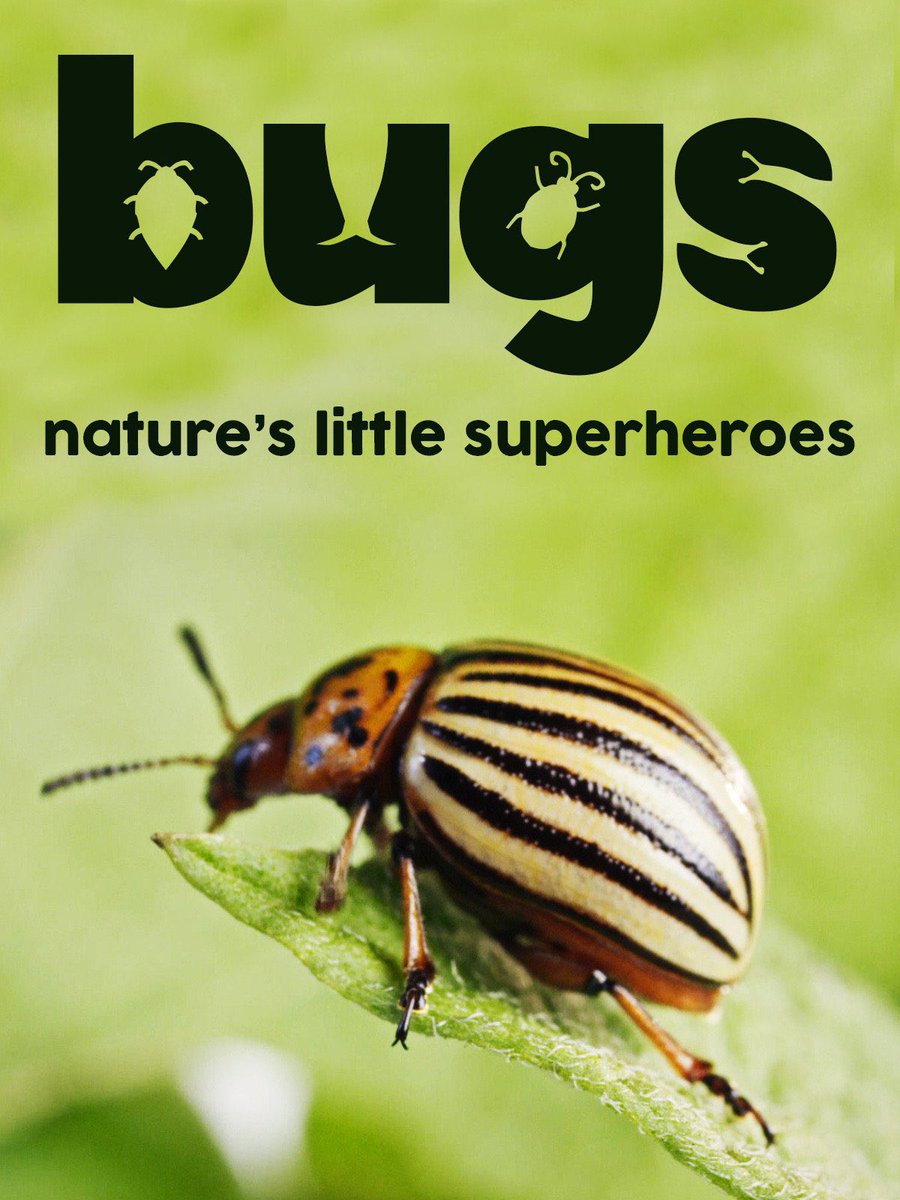 Bugs: Nature’s little SUPERHEROS