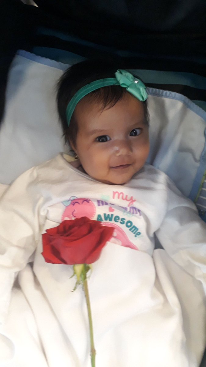 vititof's tweet photo. Te voy a tratar como una princesa, para que en el futuro alguien te trate como una reina 💚 https://t.co/EUVuELA3Sg