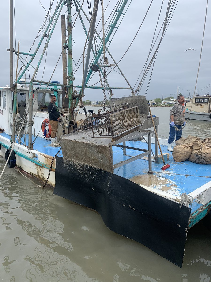 D11 Agrilife Ext tweet media