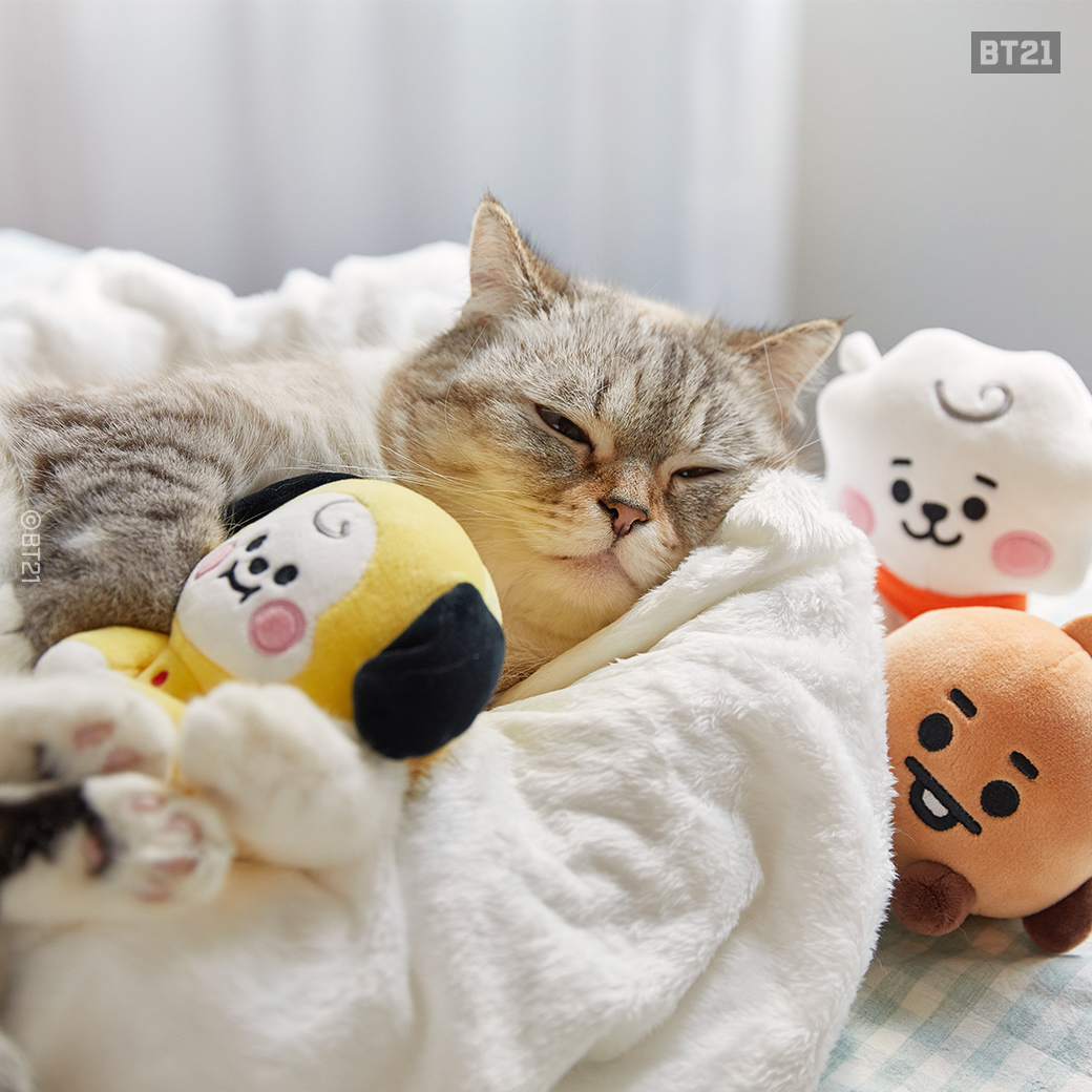 Bt21 Japan Official 家の猫ちゃんにも大人気 Bt21baby 詳しくはこちら T Co Vrbpenfziq Bt21 Baby オンラインストアは3月12日から 原宿ストアは3月14日から発売 猫ちゃん ベビー キャラクター ぬいぐるみ 可愛いキャラクター Bt21 Japan Official 家の猫ちゃんにも大人気 Bt21baby 詳しくはこちら T Co Vrbpenfziq Bt21 Baby オンラインストアは3月12日から 原宿ストアは3月14日から発売 猫ちゃん ベビー キャラクター ぬいぐるみ 可愛いキャラクター