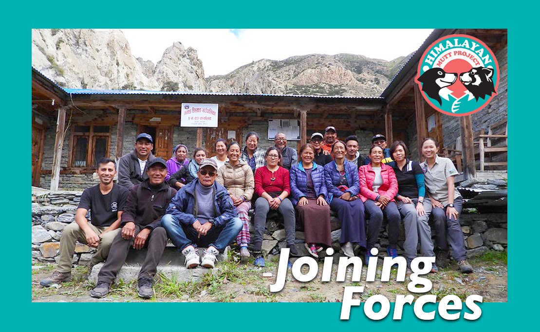 HimalayanMutts's tweet photo. Meet the folks who received our vets and vaccines and how you help us provide the tools and information they need to save their Himalaya!  - https://t.co/5KV5z2snWc https://t.co/uVSUtfj8Bg