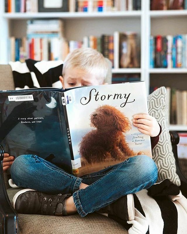 We are completely obsessed with this book! ⠀
⠀
Not only are the illustrations absolutely stunning, but the story is so beautiful. It's about a stray dog that a woman finds under a park bench. It takes a little time, but she finally gets the puppy to … ift.tt/2Q2fIvj