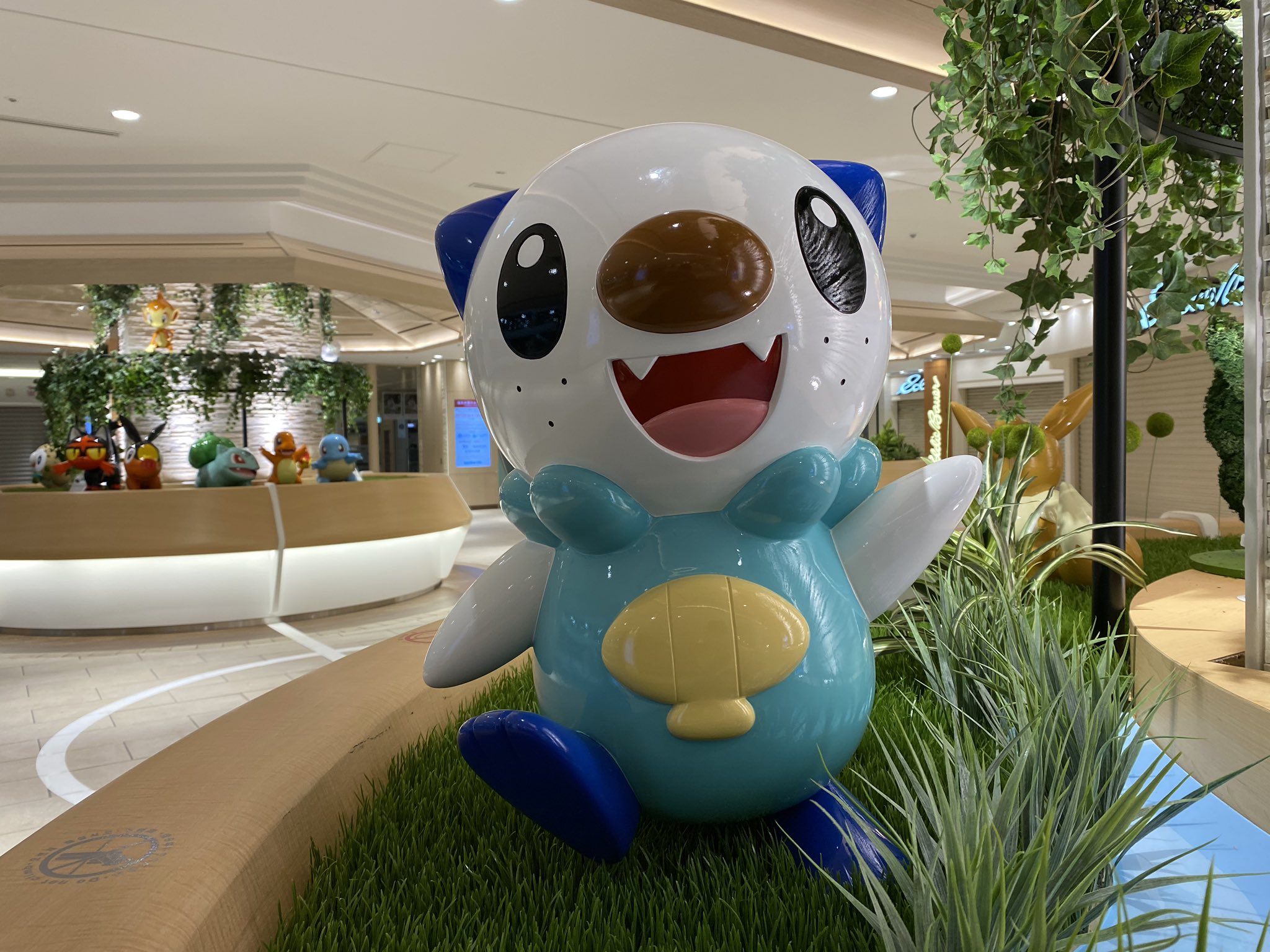 りゅうき ミジュマル ポッチャマ ケロマツ チルット ニャビー ポカブ ヒコザル フシギダネ ヒトカゲ ゼニガメ T Co Fjuvhfj60i Twitter