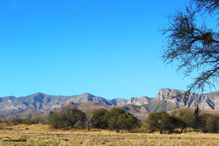 photodealer1's tweet photo. Rancho Santa Clara, Durango.

#canon #canonphotography #canonmexico #canonphotographer #mycanonstory #photodealer #panoramic #paisaje #durango #mexicolindo #travelphotography #viajerosporelmundo https://t.co/wxa1xvWcCQ