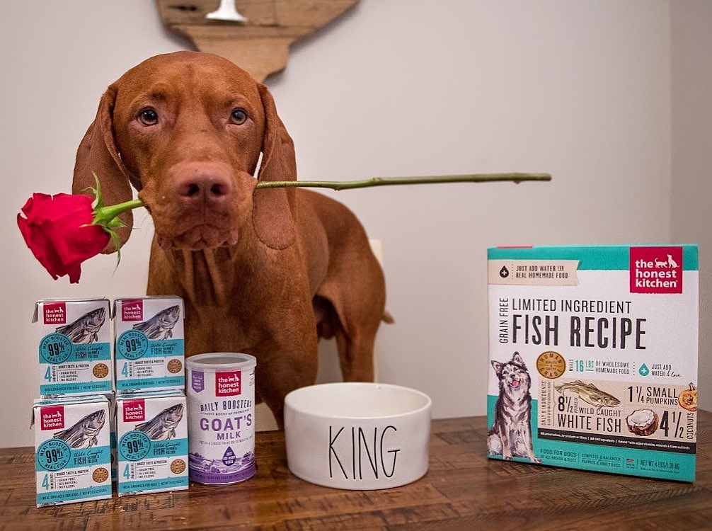 honestkitchen's tweet photo. How your dog looks at you when you serve them dinner an hour early. 😍 #Daylightsaving
#honestkitchen #thk #healthydogfood #healthydog #dogfood #humangrade #dogobsessed #dogtreats #foodfordogs https://t.co/RDdiRJ5E9t