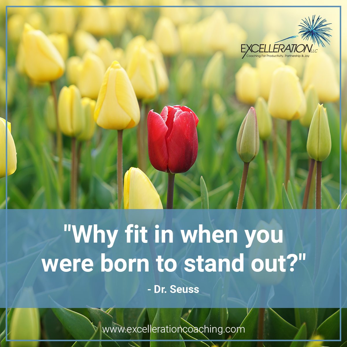 Despite the risk of temporary discomfort, most of us are a lot happier and more confident when we are self-expressed and being our authentic selves.

#selflove #motivation #careergrowth
