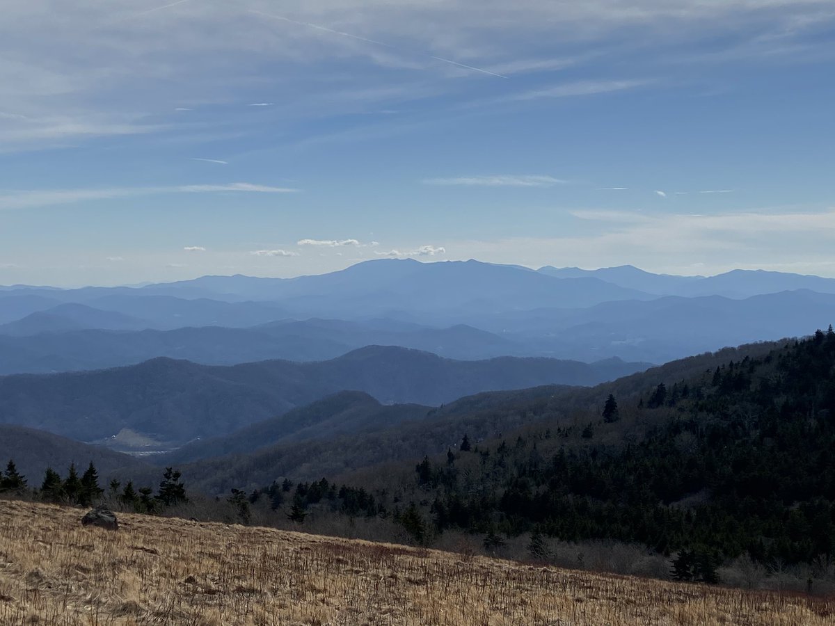 McPhailCraig's tweet photo. Took a break from the office today & went to @AppalachianTrl to see Roan Balds! #hike #OptOutside #carversgap https://t.co/BX2CVibG0w