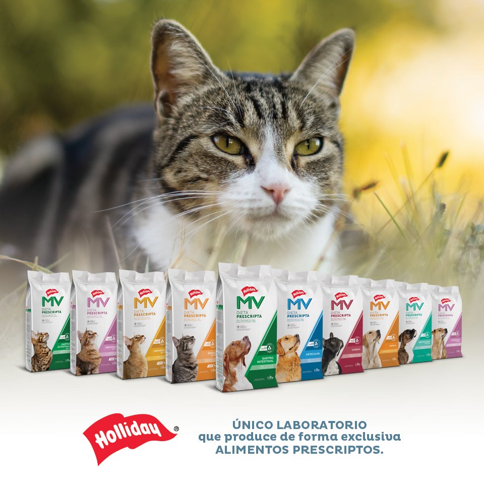 LabHolliday's tweet image. Hay muchas señales que nos indican las principales patologías que pueden padecer nuestras mascotas, y un único laboratorio que produce de forma exclusiva alimentos prescriptos para esas necesidades.

Para más información, ingresá en dietasmv.com.ar