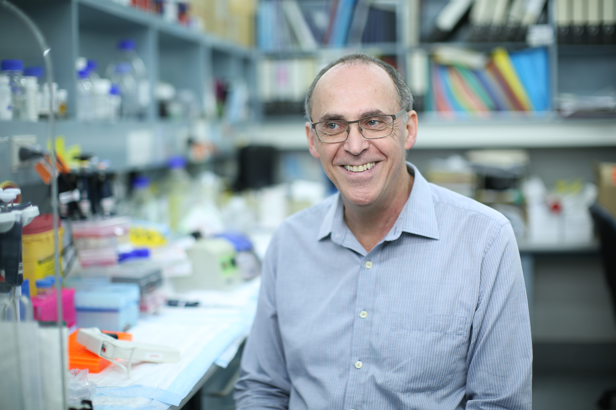 CMRI_AUS's tweet photo. A senior CMRI researcher has described the discovery of a new way to treat cancer in patients who don’t respond to current treatments as having “tremendous potential to save lives’’. Read more https://t.co/139PVZe0va https://t.co/dJ2PteHsuv