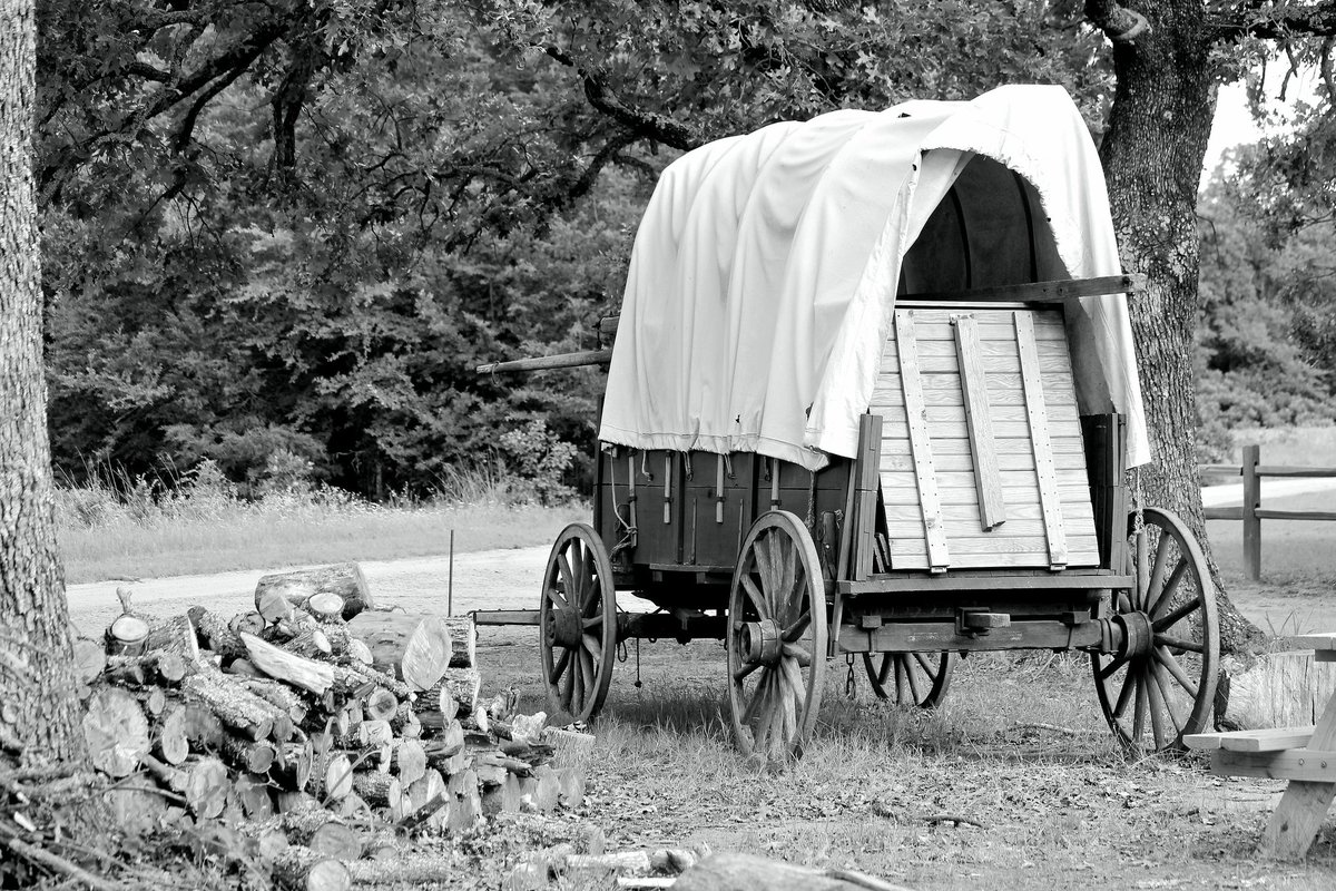 FrameLifePhoto's tweet photo. A simpler life...
#FrameLifePhotography #blackandwhitephotography #blackandwhite #blackandwhitephoto #simplertimes #history #photographersexploration #photographyexploration https://t.co/CR8OzlEWmv