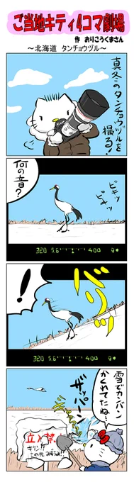 #ご当地キティ4コマ劇場 #ご当地キティ #4コマ漫画 #ハローキティ #キティ #北海道  #北海道タンチョウヅル  #丹頂鶴  #タンチョウヅル  #釧路 