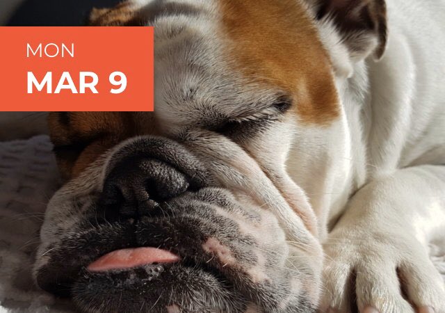 weTALKpr's tweet photo. #TodayInTALK Napping is actually scientifically proven to be better for you than coffee or energy drinks. You may have lost that extra hour in the day but you can feel like you caught up on some sleep by celebrating. #SelfCare #TALKDog #FresnoStateTALK #NationalNappingDay https://t.co/J0RVP3VvW6