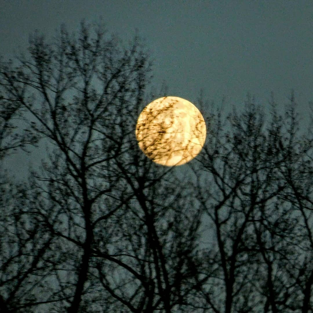 _rosequartz4's tweet photo. #SuperMoon Tonight's super moon, so big I swear I could reach out and touch it! #wormmoon #supermoon #seedmoon #sapmoon #crustmoon https://t.co/anneHBhjzp