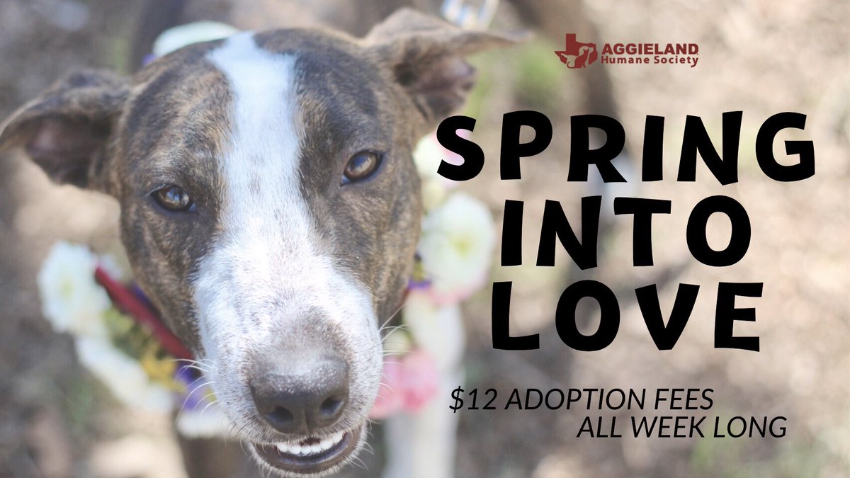 AggielandHumane tweet picture