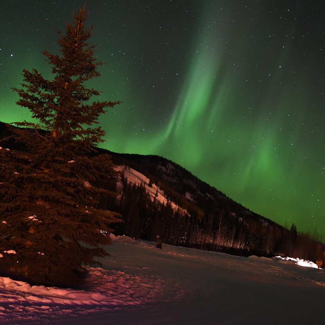 ChenaHotSprings's tweet photo. HD show of the Auroras... Run away from the city lights to find something better ๐๐
Reposting @angiemossburg42
#chenahotsprings #chena #fairbanksalaska #northernlights #aurora @explorefairbanks #alaska #sky #nightsky #nightphotography #twentybelow #nightlights https://t.co/4HDxLhpvck