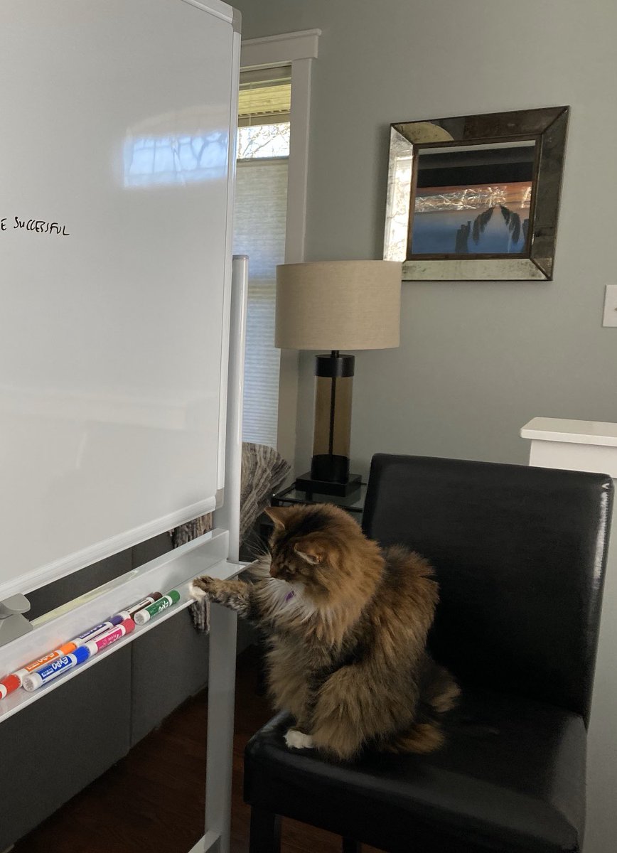 erinrifkin's tweet image. When your cat won’t stop trying to steal your dry erase markers during a Kaizen... #wfhproblems #catlife