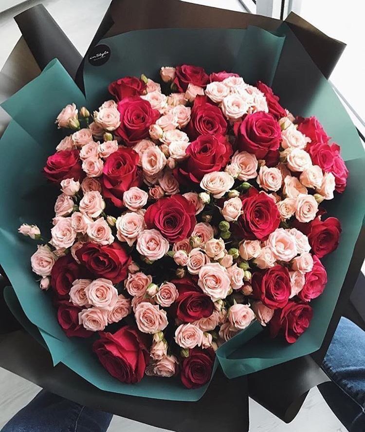 fofo__Af's tweet photo. آحًلَـى  🌹🌹💙
صـــباح    🌹🌹💙
صباح آلَهّنـآ.   🌹🌹💜
صباح آلَسِعادٍةّ    🌹🌹💜
صباح آلَــــــــــــوٌردٍ 🌹🌹💛
صباح آلَفُـــــــــــــــــلَ  🌹🌹💛
صباح آلَيَآسِمًــــــــــــــيَنِ  🌹🌹💚
صباح کْلَ شُئ جّمًيـَـــــــــــلَ 🌹🌹💚
️
اسعد الله صباحكم بكل خير #متابعيني https://t.co/jqI0JPfjn9