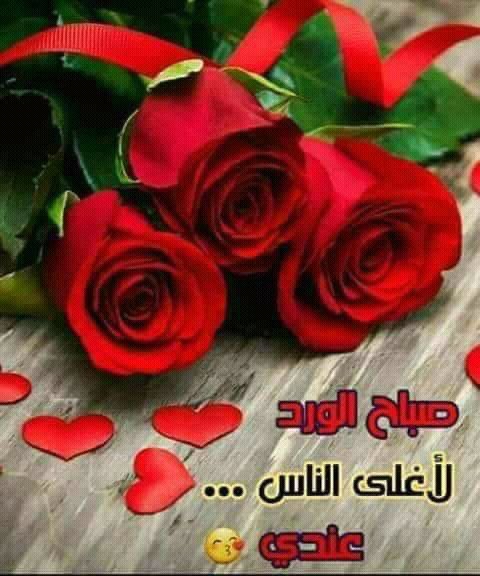 fofo__Af's tweet photo. ﮼صبآح،الـحب
فيگ يحلیَ صباحيَّ يَ غناة #الروح ❤️ https://t.co/yg0E0WMZHU