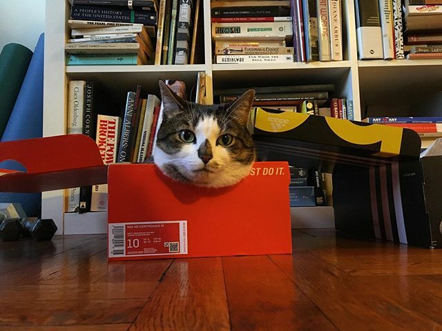 plaidtrain's tweet image. sLeEp tIgHt ift.tt/2Q2QVav