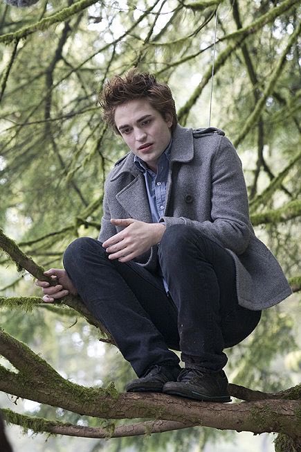 undo512's tweet photo. me “running away” into a tree in my backyard when i was 10 waiting for my parents to look for me https://t.co/A5583tzPuC
