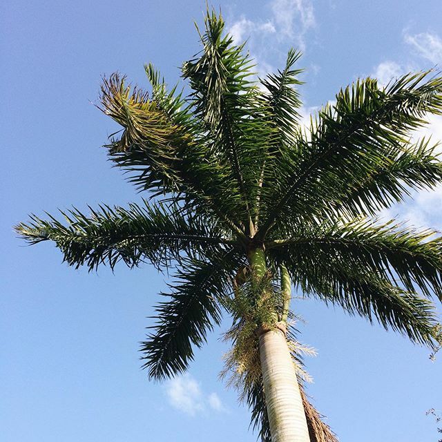 Thank goodness for Florida! ift.tt/3aHDGUB