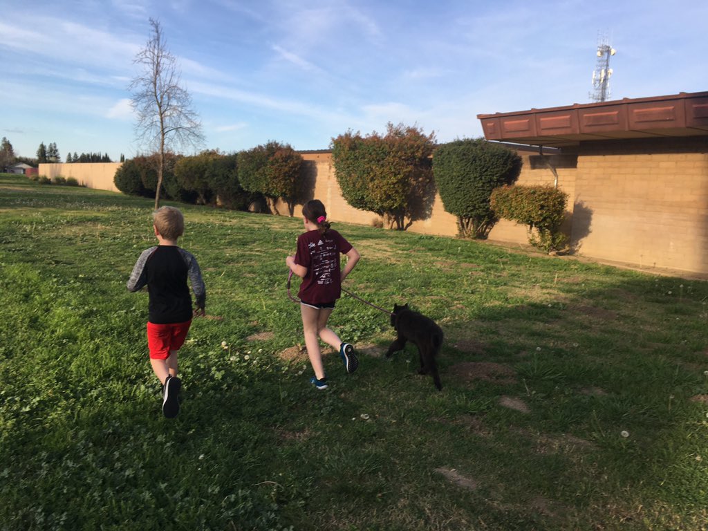 DinwiddieUNC's tweet image. Missy’s first mile! #dogsofFSUSD #wellness #fsusdrunsthis