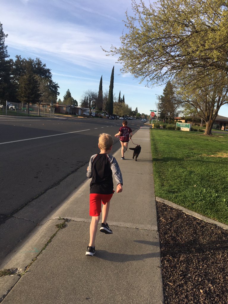 DinwiddieUNC's tweet image. Missy’s first mile! #dogsofFSUSD #wellness #fsusdrunsthis