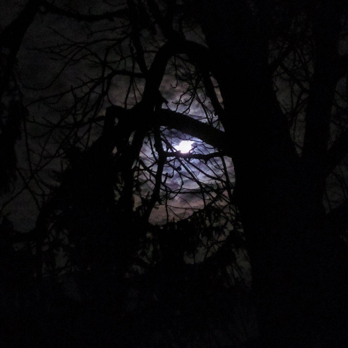 LadyofScrolls (@ladyofscrolls) on Twitter photo 