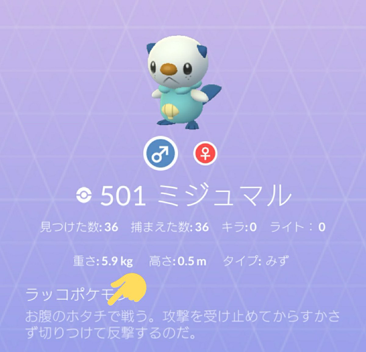 Aki Shimamoto 筆文字ポケモン絵師休憩中 筆ペンでポケモンを描く ミジュマル お腹にホタテの太刀がある ラッコポケモン 体内のカルシウム成分が染み出て出来るらしい 見た目はキュートなのに おじさんみたいな加齢臭するし 美人に弱いし 見た目の